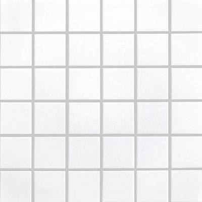 PLAIN MOSAICS